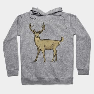 White-tail buck Hoodie